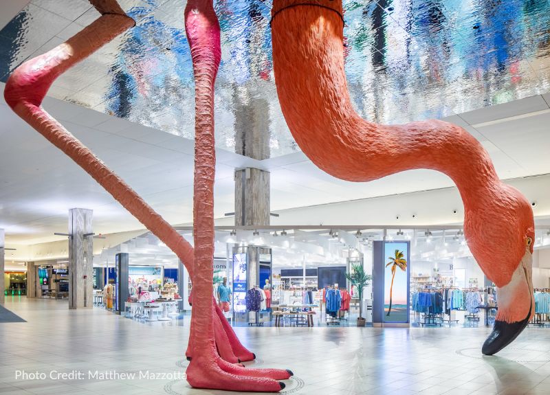 Creating An Underwater HOME For Phoebe The Flamingo at Tampa Airport